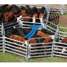 High Quaility Livestock Yards Fence/Cow/Horse/Sheep Fence